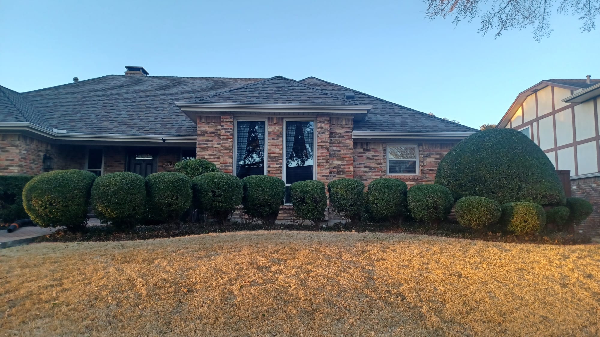 Bushes Trimming service