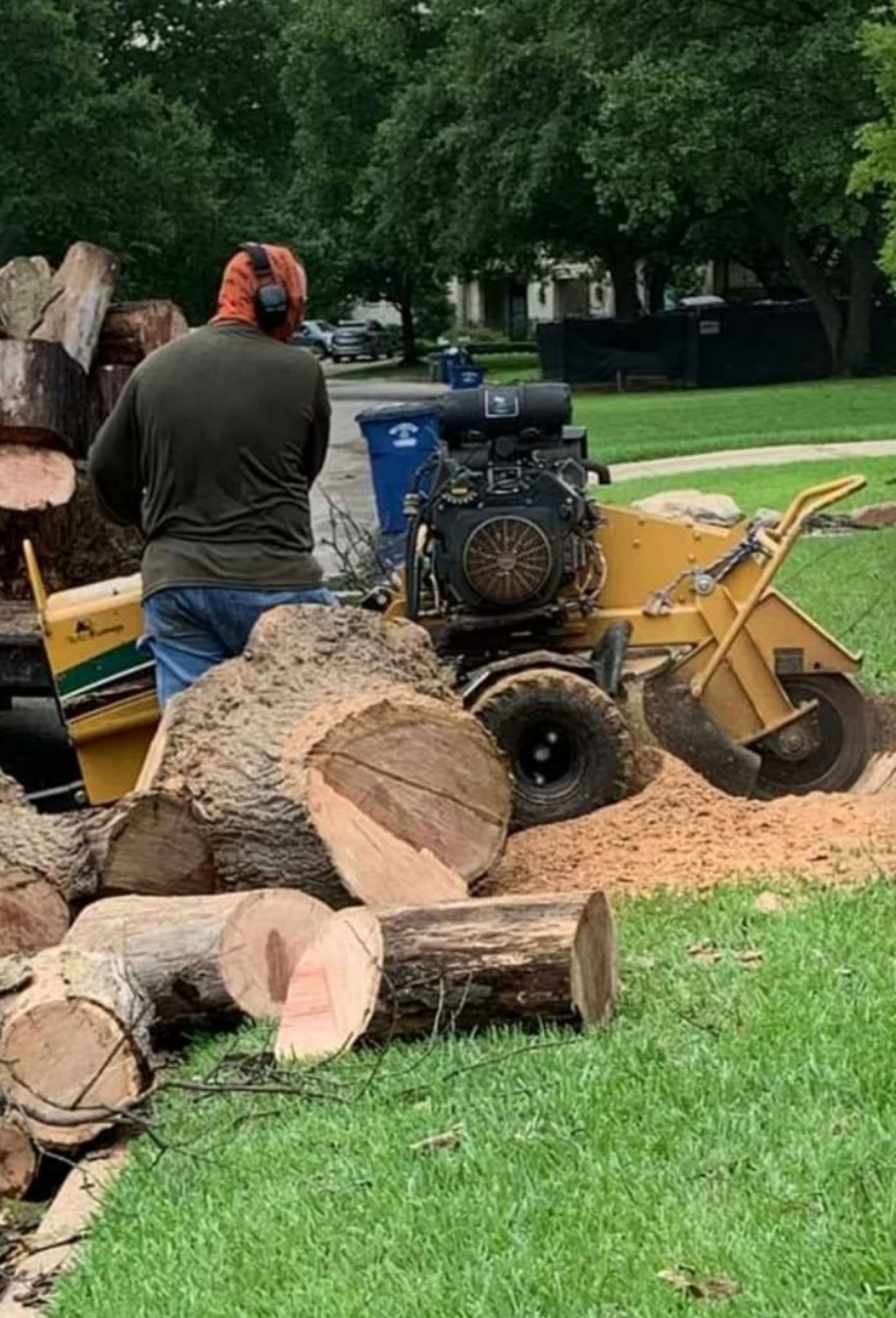 Stump Grinding service