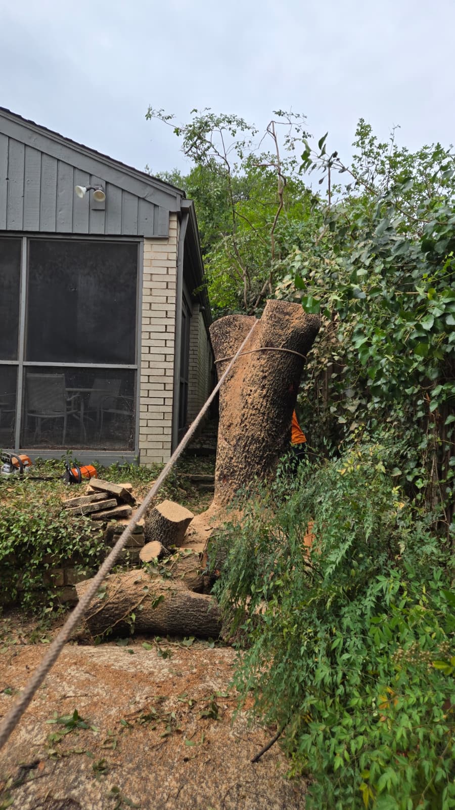 Dangerous Trees service
