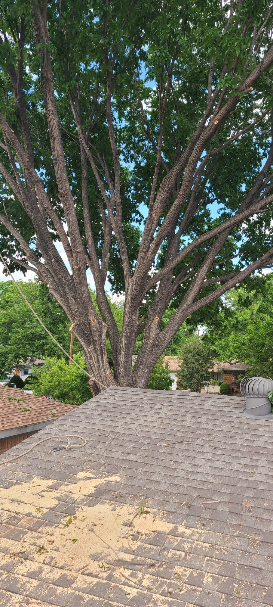 Project photo 15