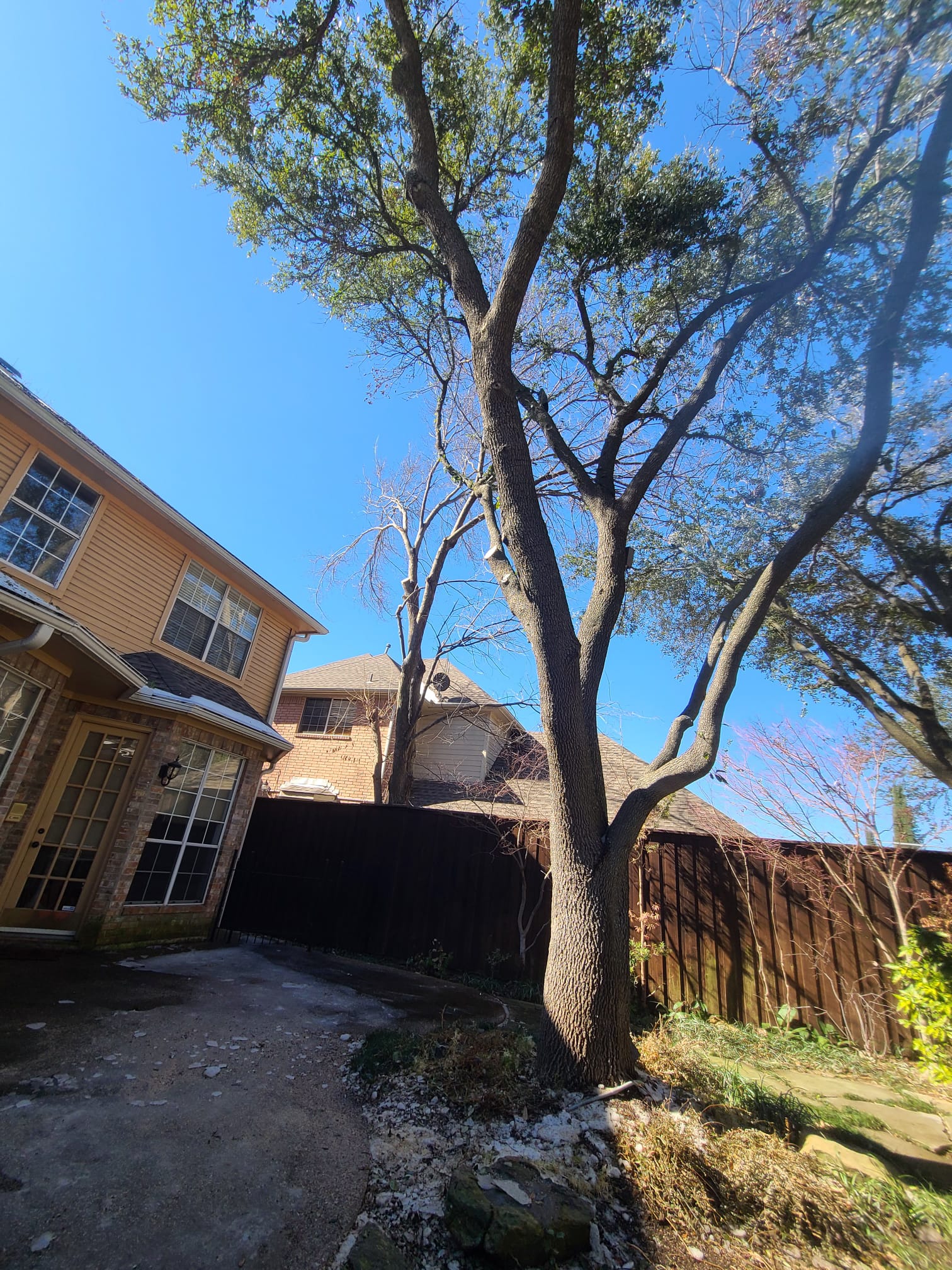 Project photo 19