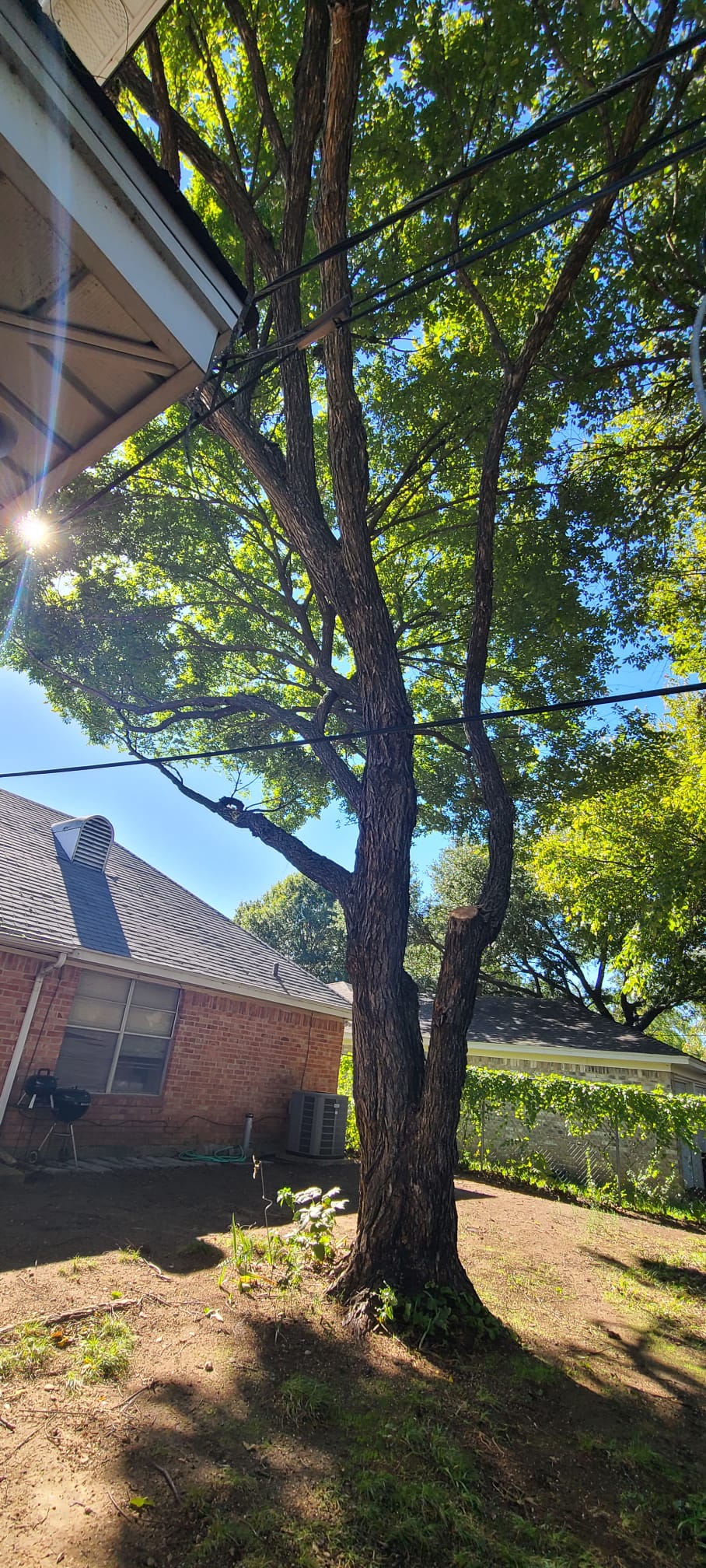 Project photo 9