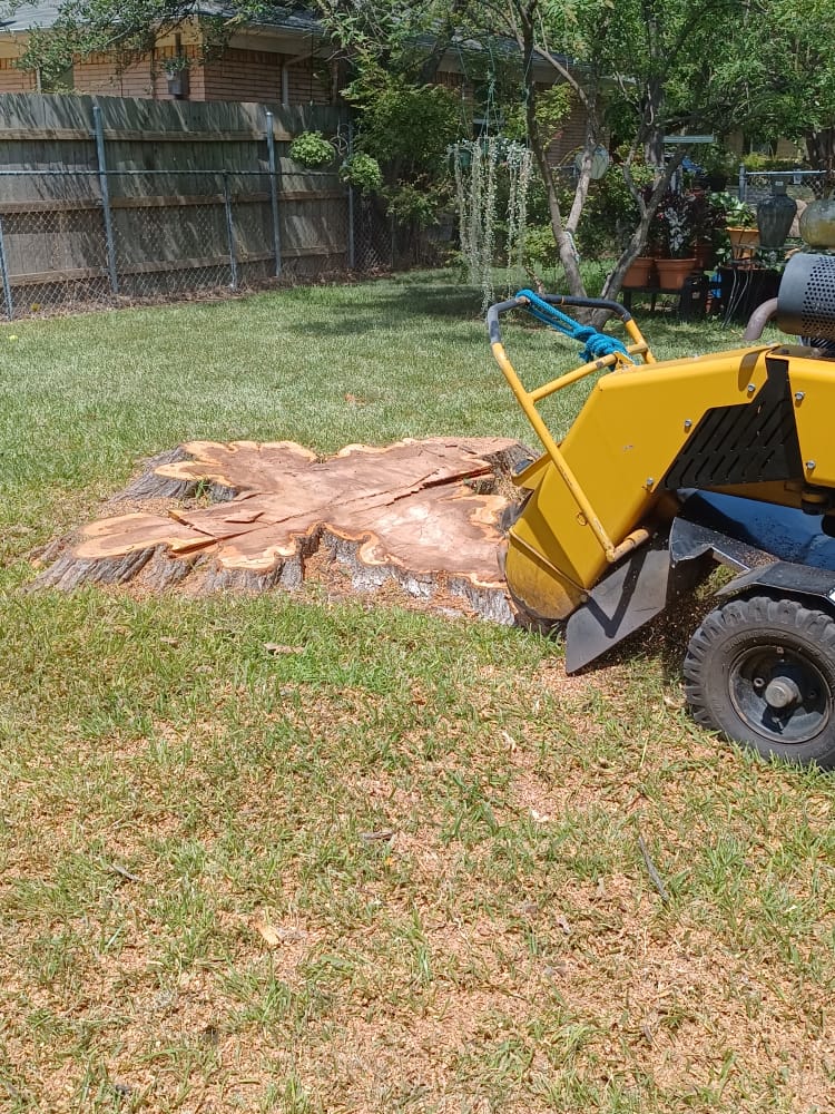 Stump Grinding service